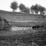 Case rurali in una pianura dell'Emilia Romagna