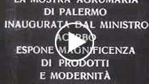 La Mostra agrumaria di Palermo inaugurata dal Ministro Acerbo espone magnificenza di prodotti e modernit di macchinario