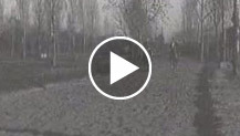 Giacomo Acerbo a cavallo in un parco