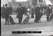 Addestramento di cani poliziotto a Roma