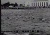 Maratona di nuoto nel lago Ontario