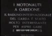 Motonauti a Gardone: Il raduno internazi ...