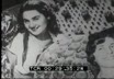 Italia - XVI Fiera degli agrumi a Reggio Calabria