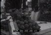 Ricordo di Romita