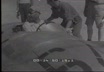 Automobilismo: circuito di Pescara.