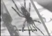 Il Salone della Tecnica a Torino