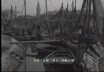 Colpi d'obiettivo: Caorle. San Francisco. Milano.  ...
