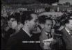 Festa degli alberi