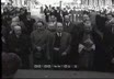 La Festa dell'Immacolata Concezione