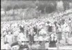 La festa degli alberi