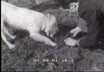 Cronache del Piemonte