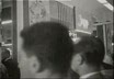 Cronaca