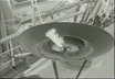 Olimpiadi