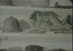 Obbiettivo sulla cronaca