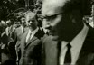 Cronaca