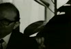 Cronaca