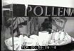 Obbiettivo sulla cronaca