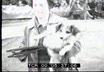 Milano - Giornata del cane