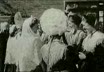 Cronaca