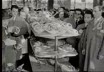Roma - inaugurato il Garden center