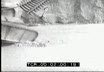 Diluvio sulla Calabria