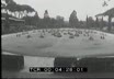 La festa della Polizia