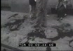 Milano: il 17 maggio 1973 una bomba in via Fateben ...