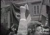 Italia - Cinquantamila metalmeccanici convenuti a  ...