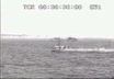Lo sbarco alleato ad Anzio 428 NPC 1822