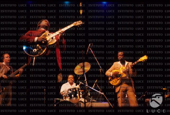 B.b. King.