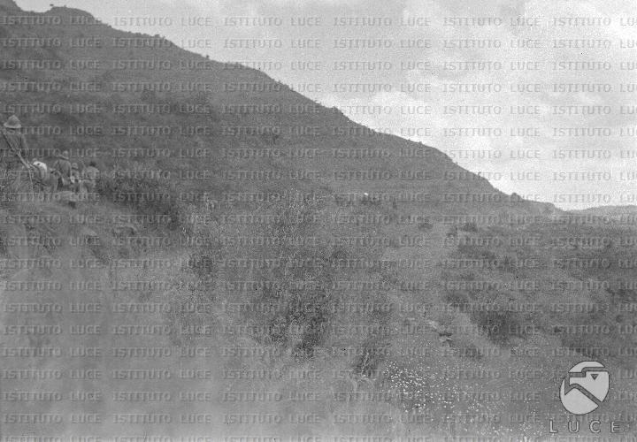 AO/AO003/AO00000252.JPG