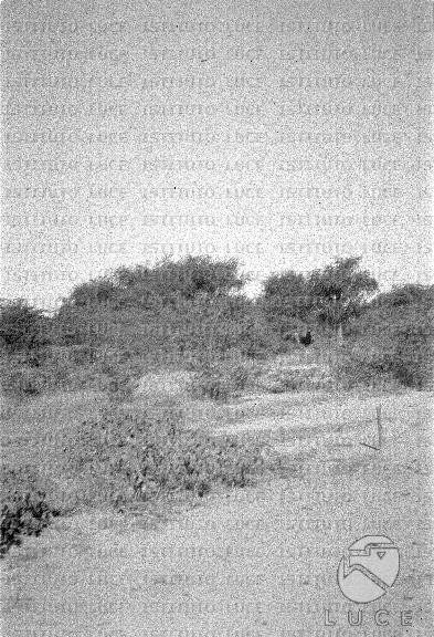 AO/AO004/AO00000285.JPG