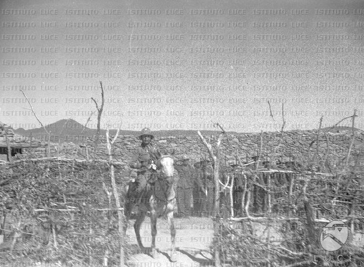 AO/AO004/AO00000294.JPG