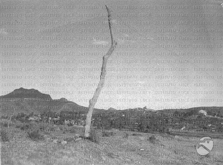 AO/AO004/AO00000297.JPG