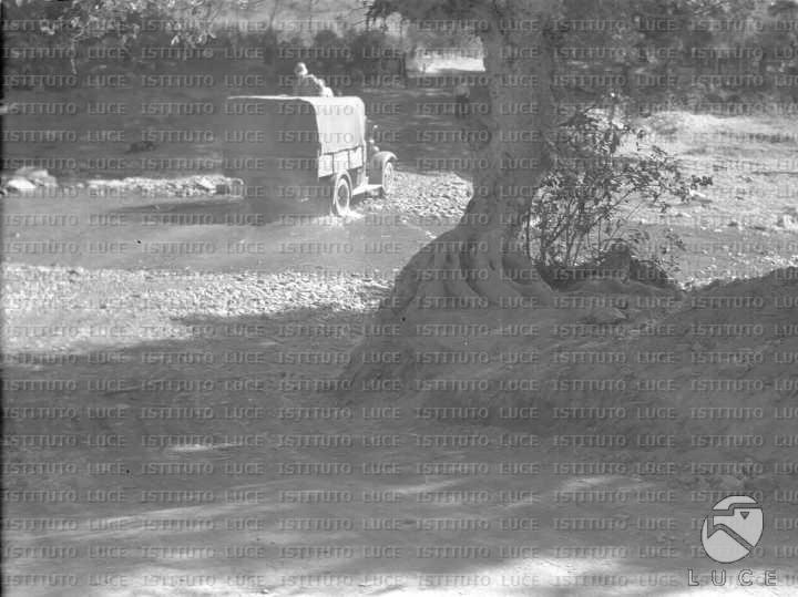 AO/AO005/AO00000358.JPG