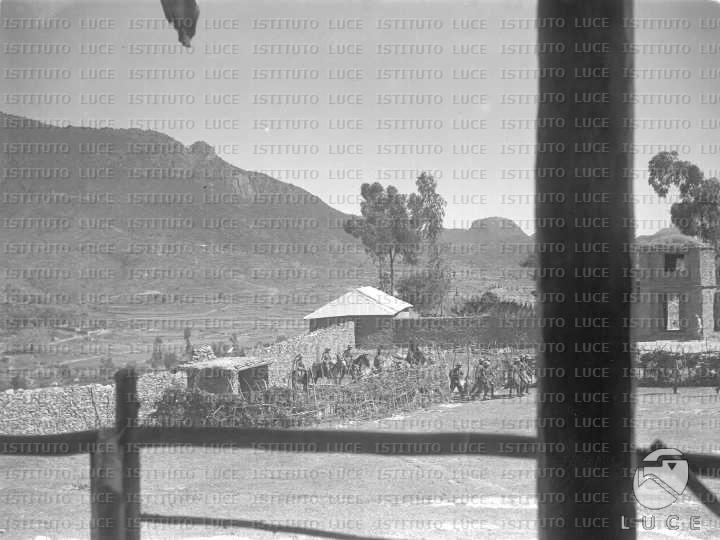 AO/AO006/AO00000456.JPG