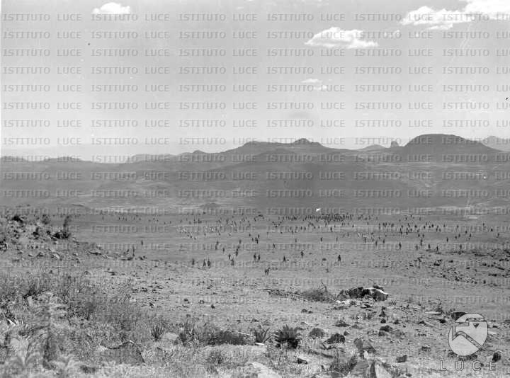AO/AO006/AO00000464.JPG