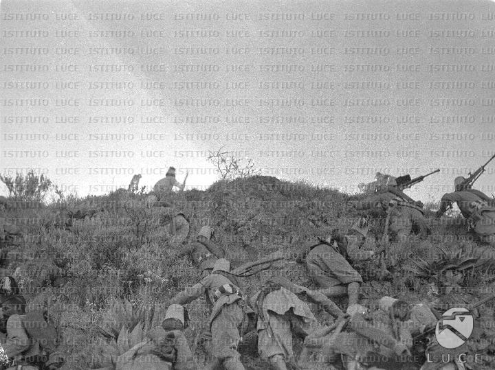 AO/AO007/AO00000473.JPG