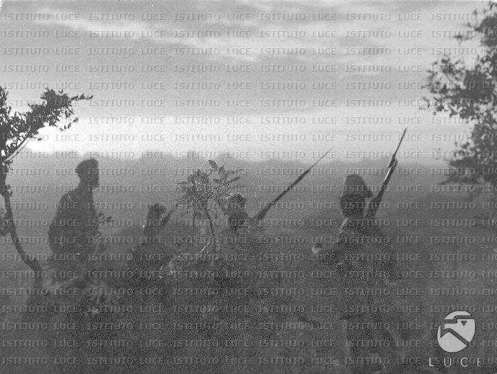 AO/AO007/AO00000474.JPG