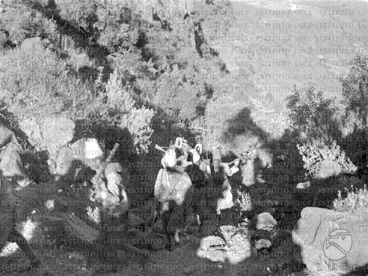 AO/AO007/AO00000477.JPG