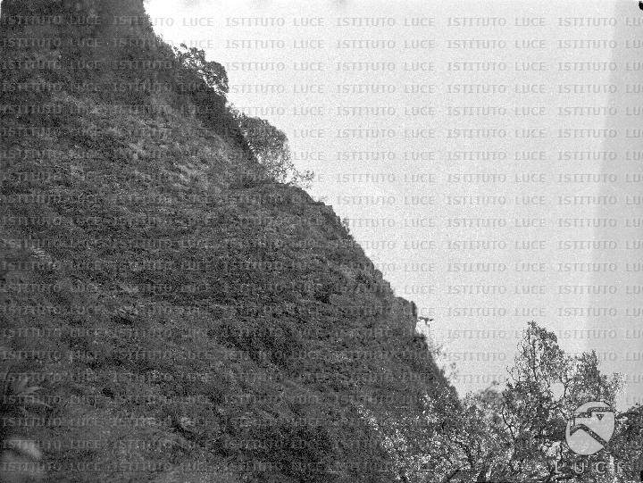 AO/AO007/AO00000481.JPG
