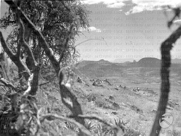 AO/AO007/AO00000490.JPG