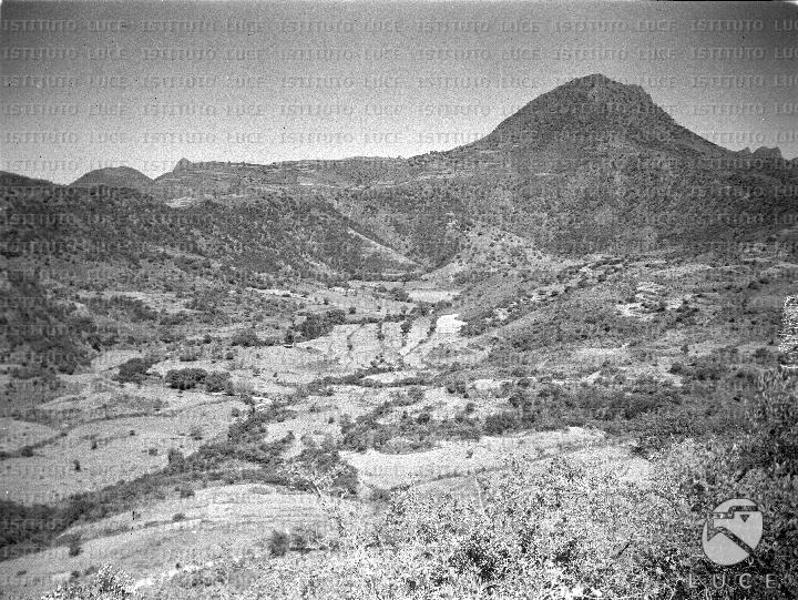 AO/AO007/AO00000524.JPG
