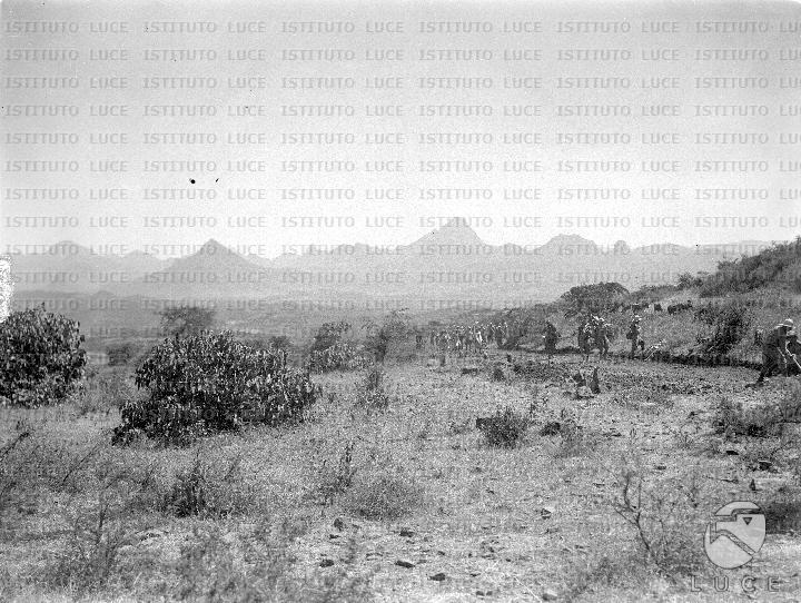 AO/AO008/AO00000568.JPG