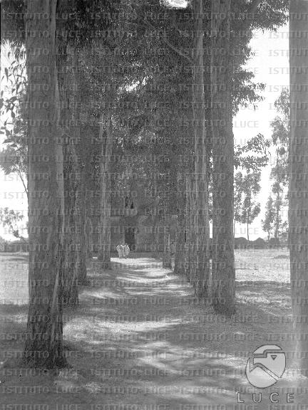 AO/AO008/AO00000579.JPG