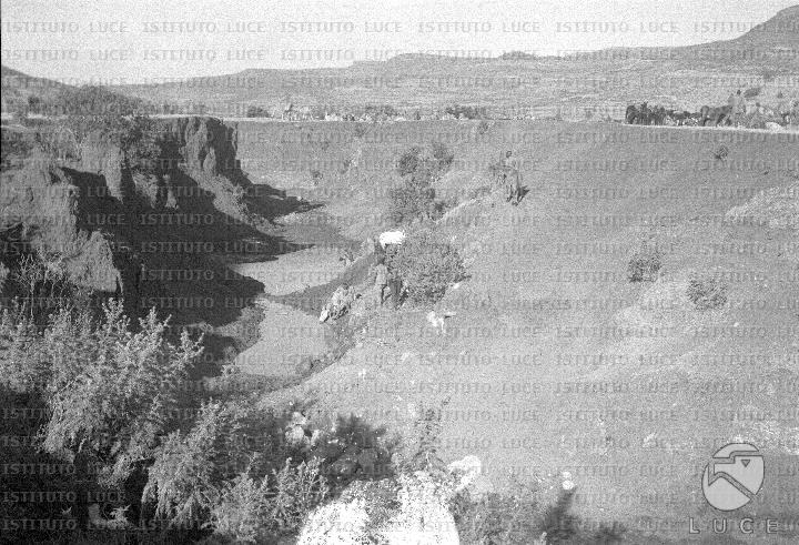 AO/AO010/AO00000736.JPG