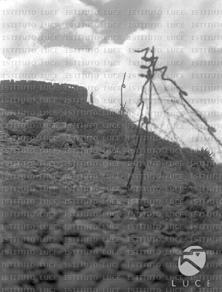 AO/AO013/AO00000949.JPG