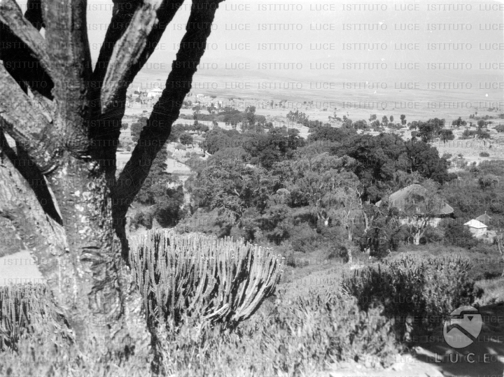 AO/AO014/AO00001049.JPG