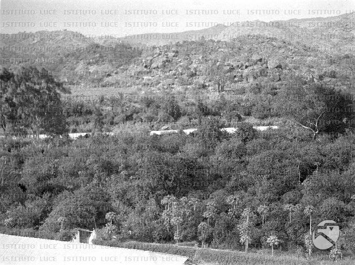 AO/AO015/AO00001090.JPG