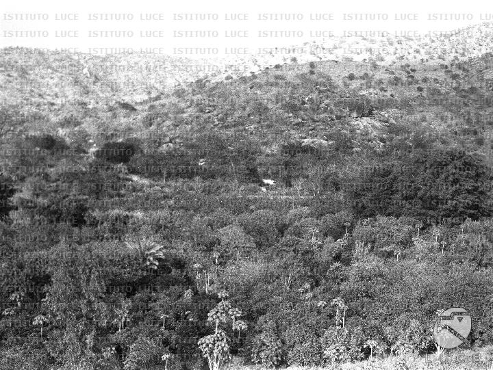 AO/AO015/AO00001091.JPG